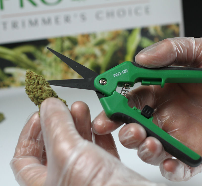  Trimming scissors for cannabis,pruning Shears for