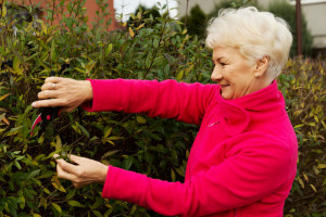 Read more about the article Don’t be a Granny!