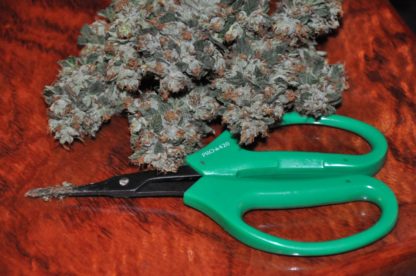 PRO 420 Scissors