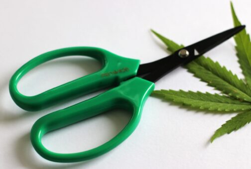 PRO 420 Scissors