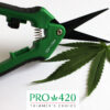 Spring Loaded Scissors