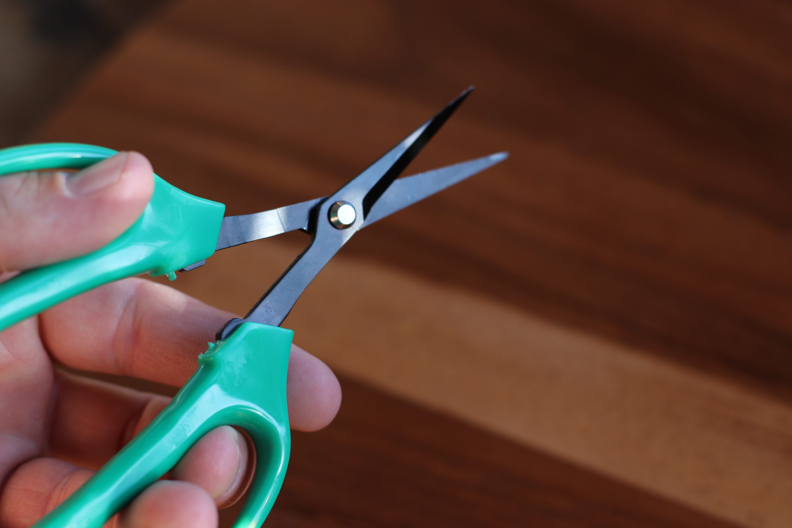 PRO 420 Trim Kit (Spring Loaded Scissors, Bonsai Scissors, Cleaning  Solution) Bud Trimming