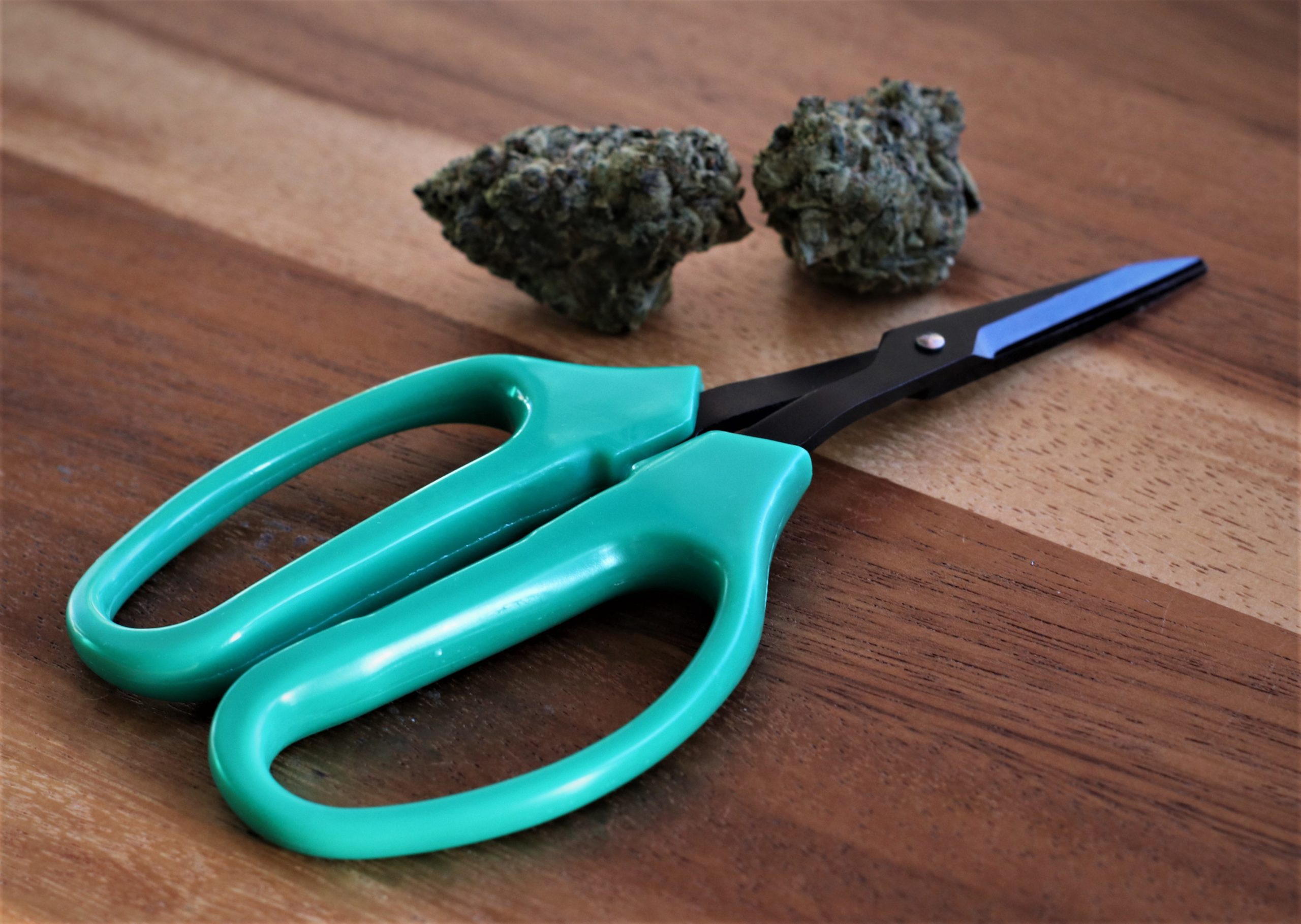 420 Sharp Scissors are Rockin' the Trim World. Wholesale.