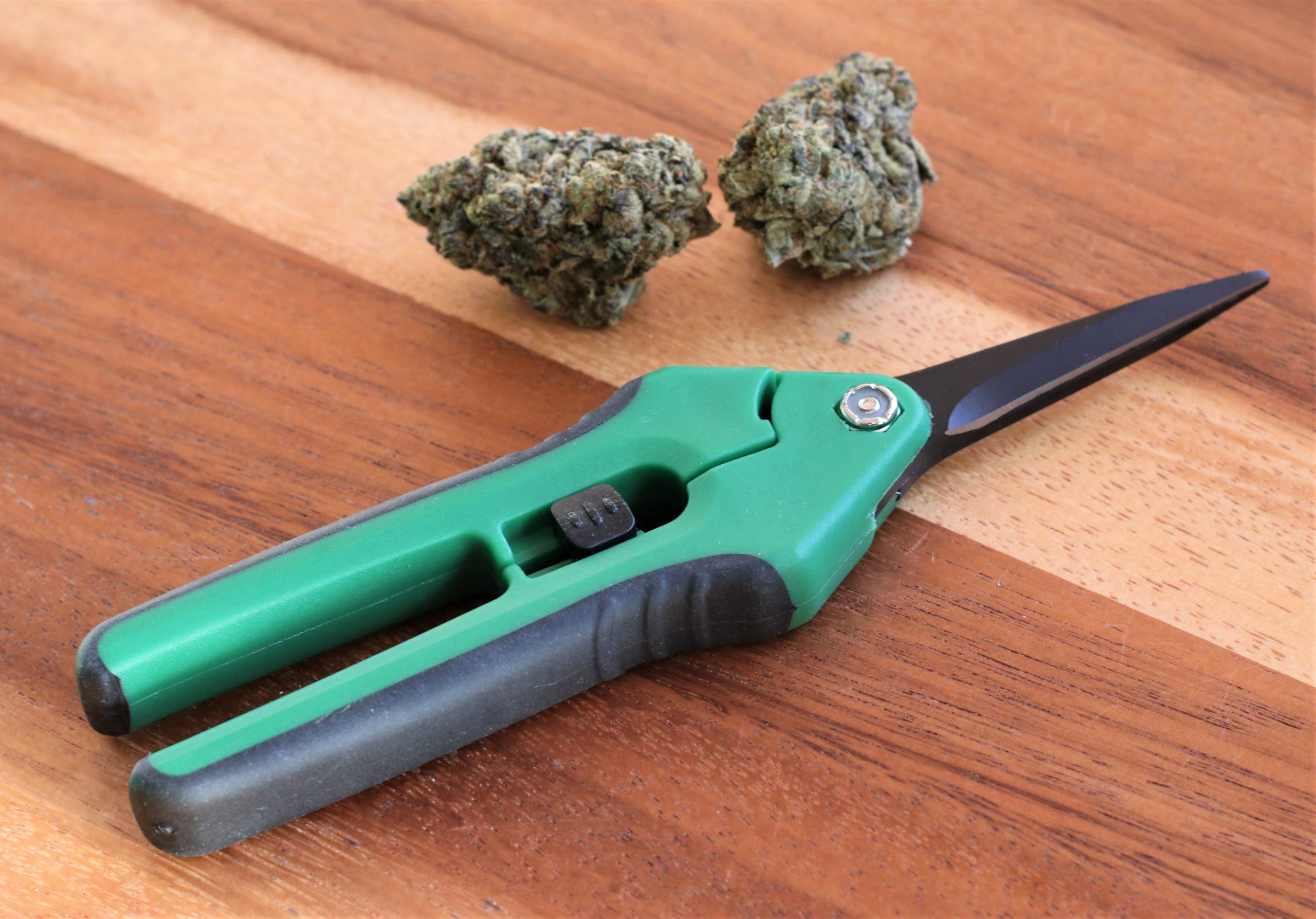 2 Pack- Bud Trimming Scissors by PRO 420 PRUNING TRIMMING HARVEST