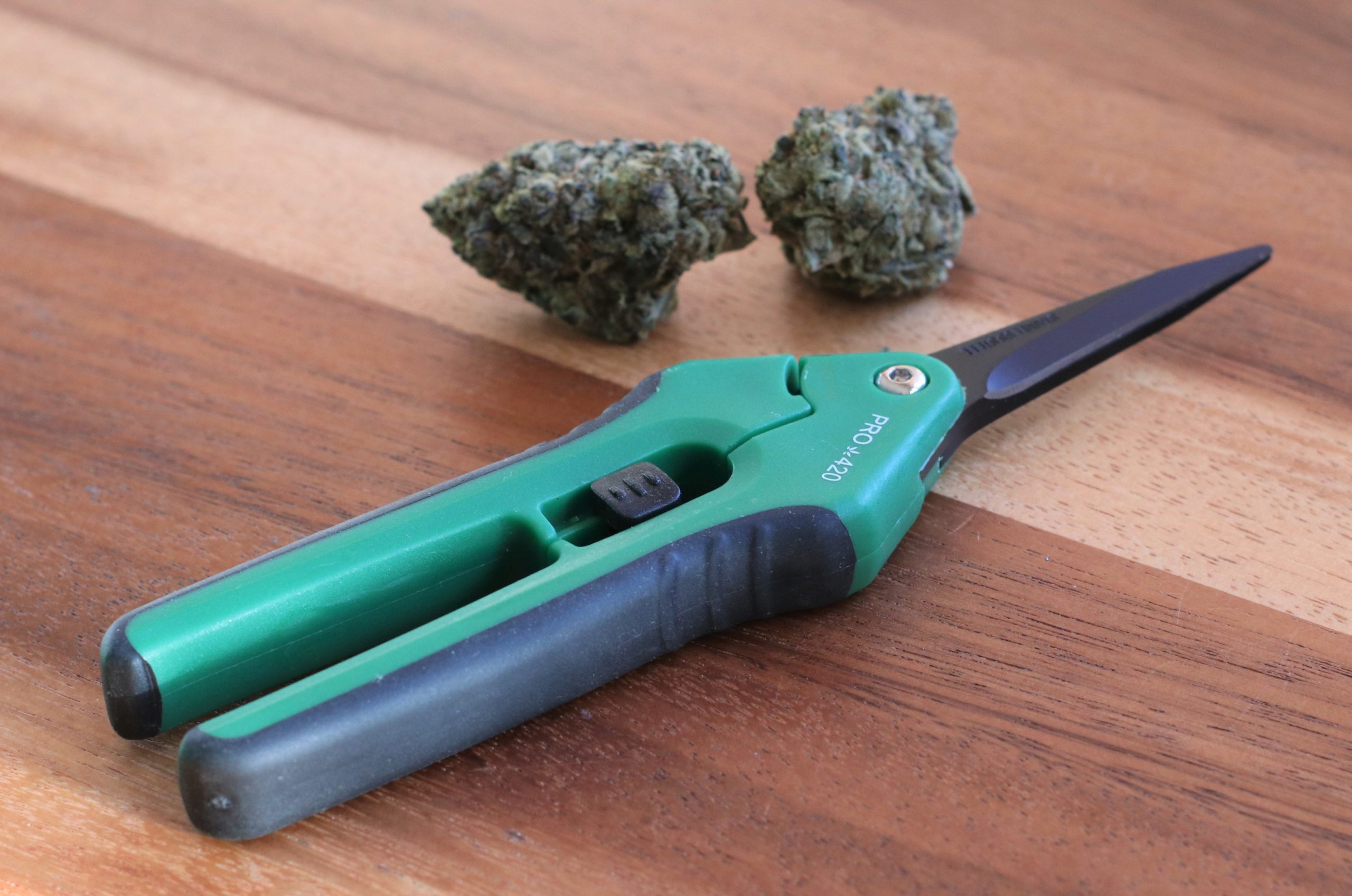 Speedee Trim  Best Marijuana Bud Trimmer