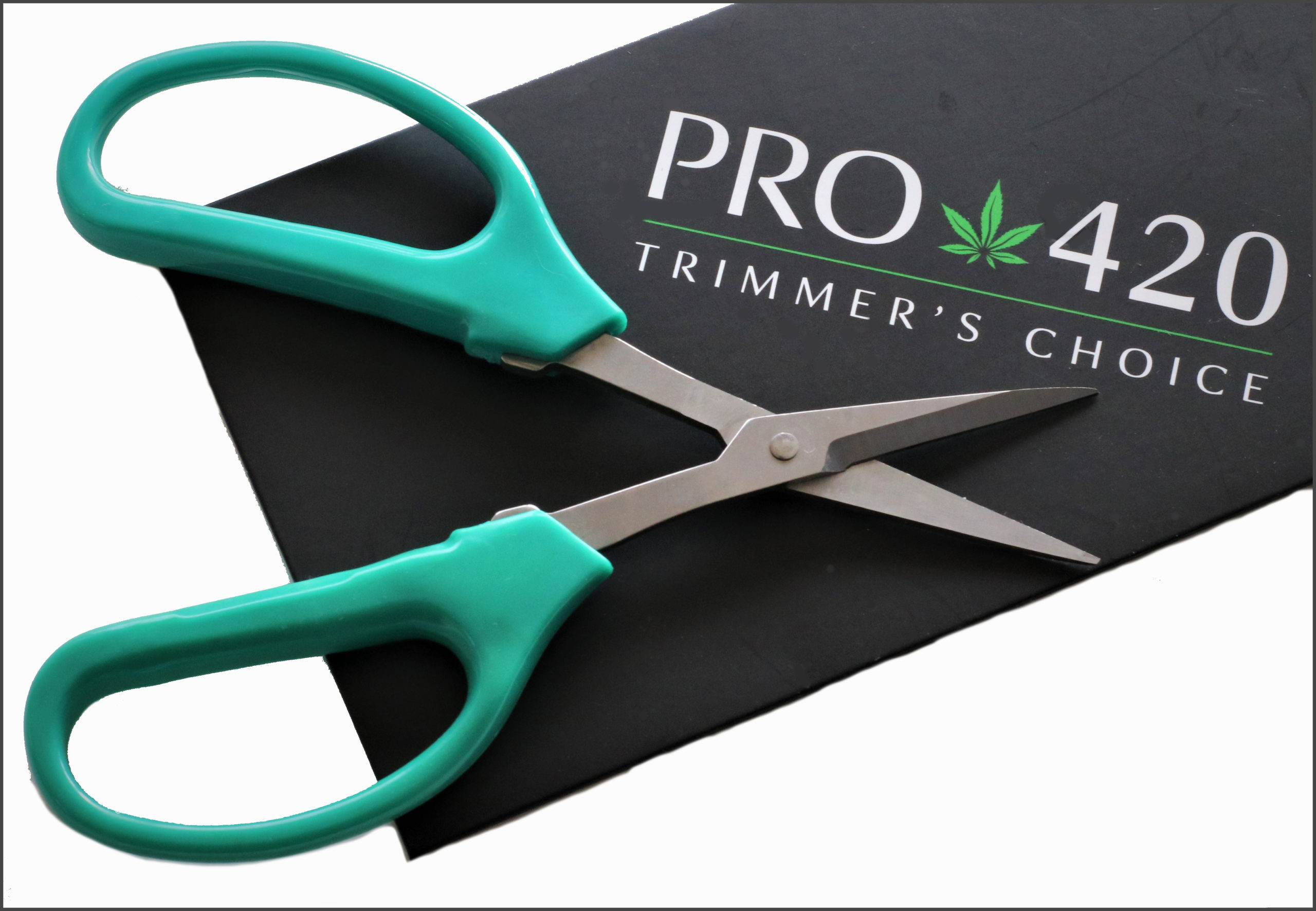 Chikamasa Trim Scissors at Hilo Grow Shop