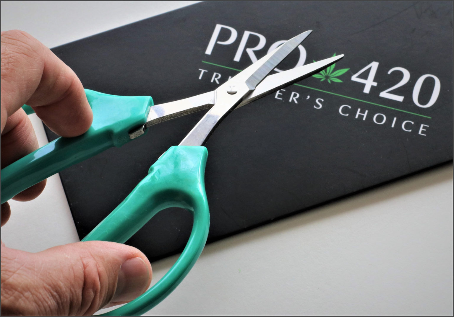 Pro 420 Classic Silver Scissors 2 Pack H - Buy Now at PRO 420!
