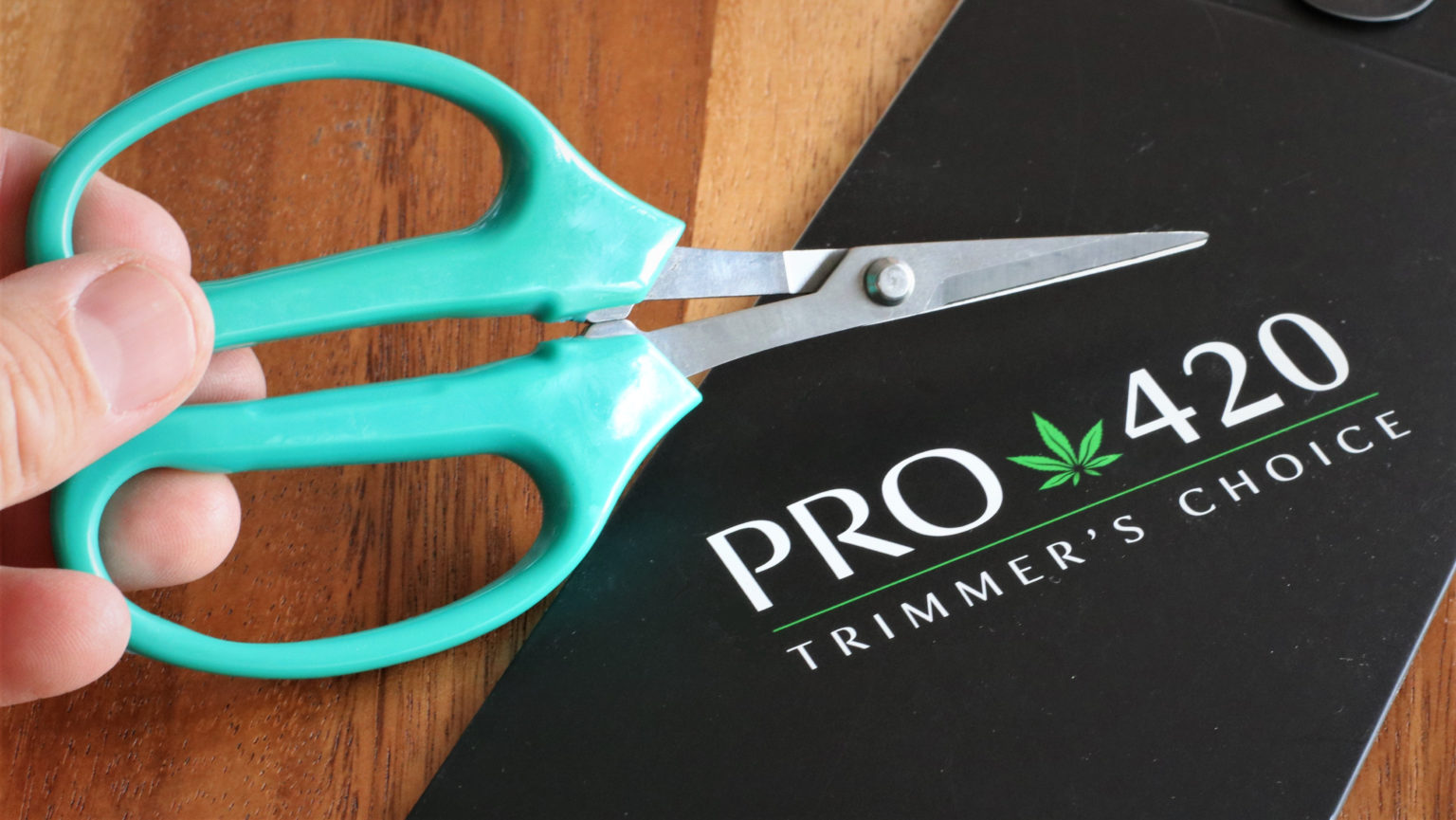 Pro 420 Classic Silver Scissors 2 Pack H - Buy Now at PRO 420!