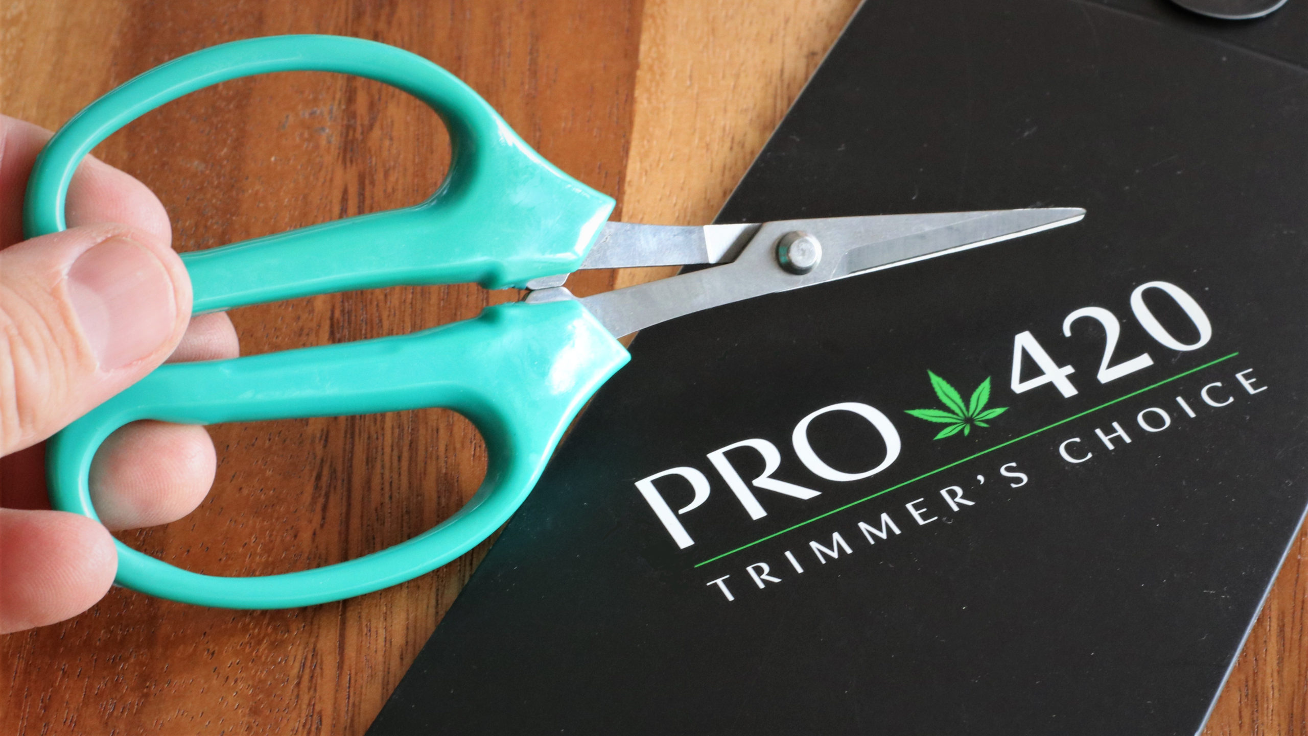  PRO 420 Classic Scissors : Patio, Lawn & Garden