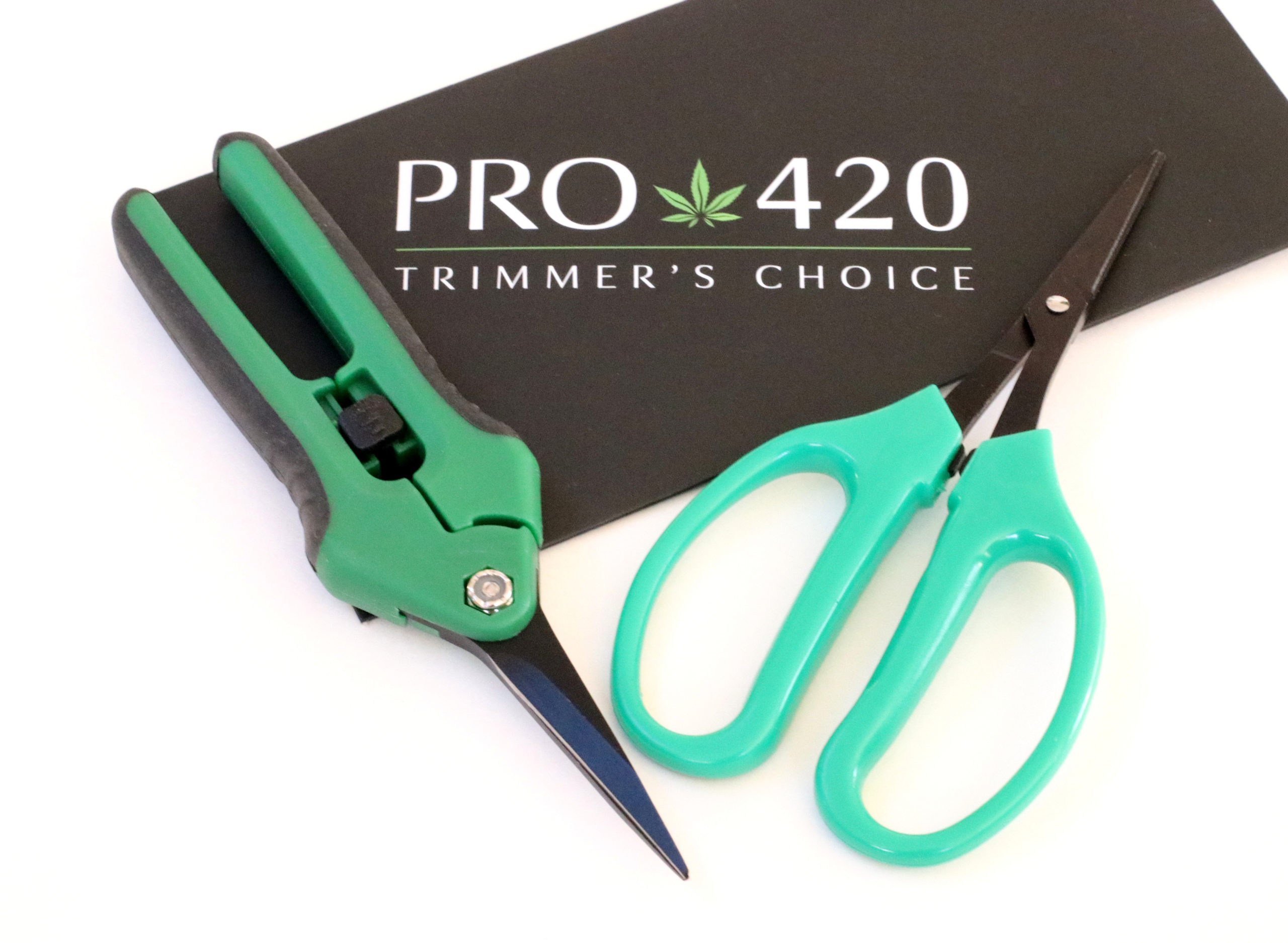 PRO 420 Classic Silver ScissorsPRO 420 - PRO 420 Scissors