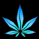 Pro420 Home